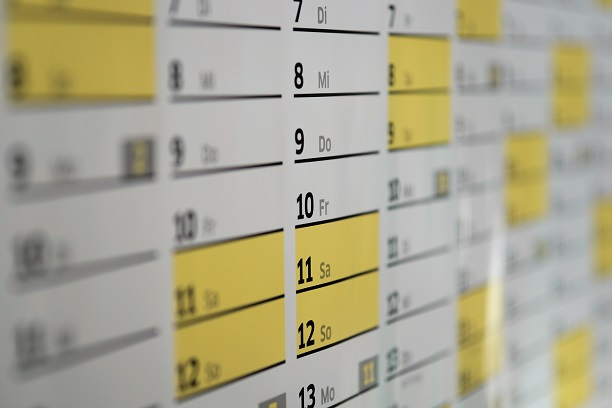 Management review schedule